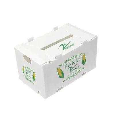 Polypropylene ঢেউতোলা প্লাস্টিক ফল বক্স প্যাকিং স্টোরেজ পরিবহন