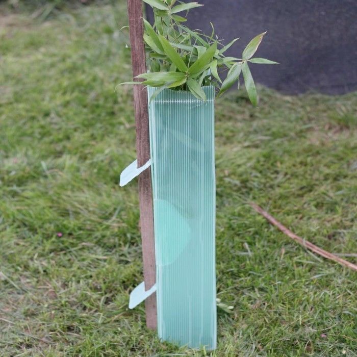 Green PP Hollow Corflute Tree Guard Biodegradable Tree Shelters