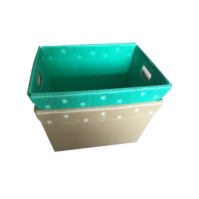 Polypropylene ঢেউতোলা প্লাস্টিক টার্নওভার বক্স কাস্টমাইজড মুদ্রণ