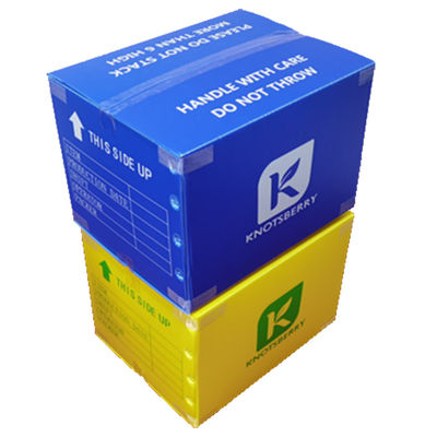 Polypropylene PP ঢেউতোলা প্লাস্টিক প্যাকিং বক্স লাইটওয়েট কাস্টমাইজড