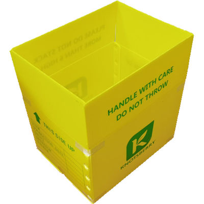 Polypropylene PP ঢেউতোলা প্লাস্টিক প্যাকিং বক্স লাইটওয়েট কাস্টমাইজড