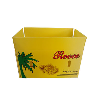 ঢেউতোলা প্লাস্টিক স্টোরেজ বক্স OEM / ODM গৃহীত