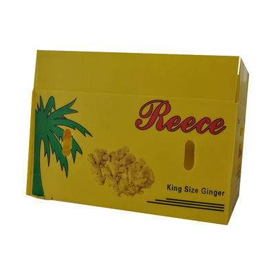 ঢেউতোলা প্লাস্টিক স্টোরেজ বক্স OEM / ODM গৃহীত