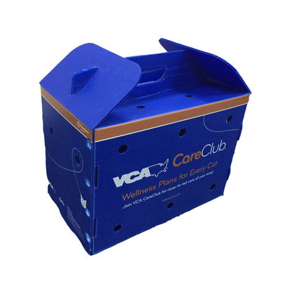 ফল শিপিং সমাধানের জন্য জলরোধী এবং অ্যান্টি-ইম্প্যাক্ট বৈশিষ্ট্যযুক্ত, পলিপ্রোপিলিন উপাদান দিয়ে তৈরি খাদ্য-নিরাপদ ফলের প্যাকেজিং বাক্স