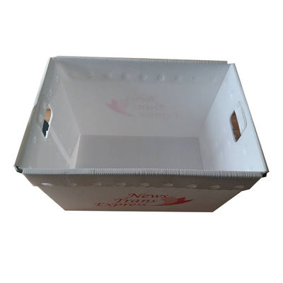 টেকসই পিপি corrugated প্লাস্টিক বক্স মেইল টোট হালকা ওজন কাস্টমাইজড