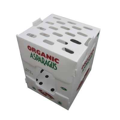 পলিপ্রোপিলিন উদ্ভিজ্জ প্যাকিং বক্স পিপি corrugated প্লাস্টিক বক্স কাস্টমাইজড পুনর্ব্যবহারযোগ্য