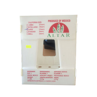 পলিপ্রোপিলিন উদ্ভিজ্জ প্যাকিং বক্স পিপি corrugated প্লাস্টিক বক্স কাস্টমাইজড পুনর্ব্যবহারযোগ্য