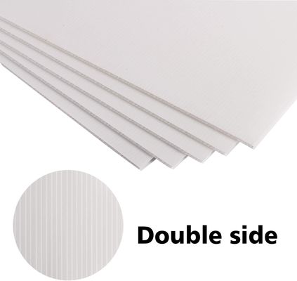 আপনার প্যাকেজিং এবং বিজ্ঞাপনে পিপি করোপ্লাস্ট শীটের সম্ভাব্যতা প্রকাশ করুন