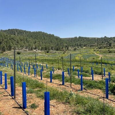 Our customizable tree guards help protect young seedlings as they grow, with flexible size and shape options to suit different planting needs.